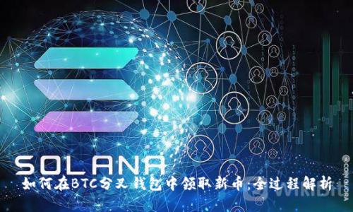 如何在BTC分叉钱包中领取新币：全过程解析