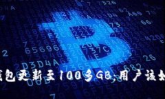 比特币钱包更新至100多G