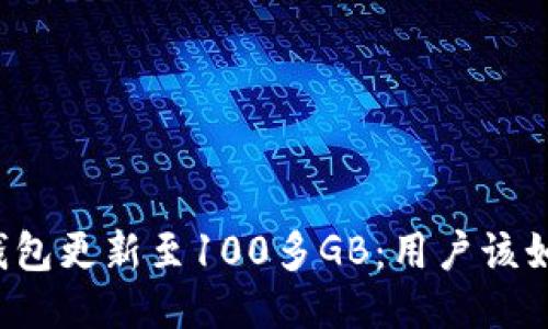 比特币钱包更新至100多GB：用户该如何应对？