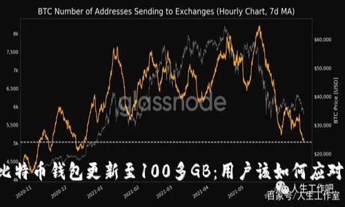 比特币钱包更新至100多GB：用户该如何应对？