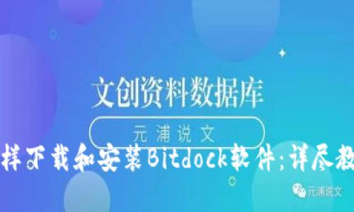 怎样下载和安装Bitdock软件：详尽教程