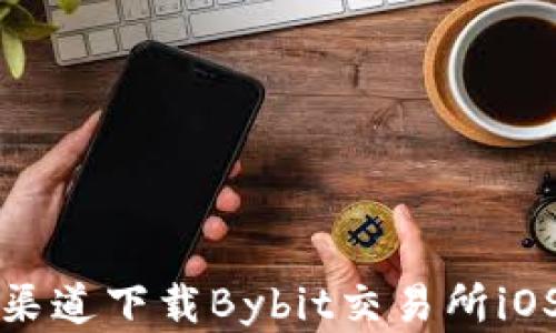 
如何从官方渠道下载Bybit交易所iOS版应用程序