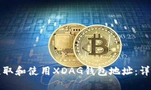 如何获取和使用XDAG钱包地址：详细指南