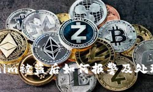 Tokenim被盗后如何报警及处理指南