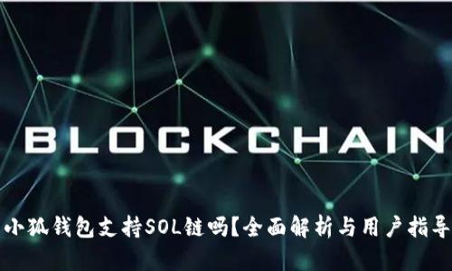 小狐钱包支持SOL链吗？全面解析与用户指导