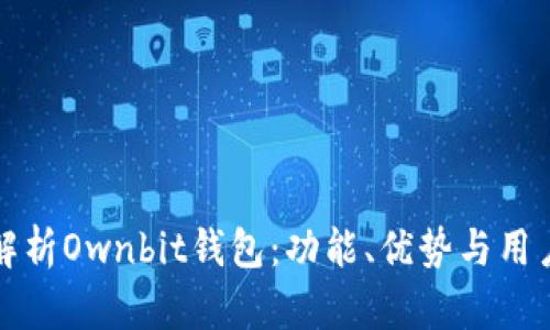 全面解析Ownbit钱包：功能、优势与用户指南