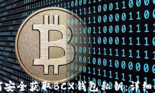 
如何安全获取BCX钱包私钥：详细指南