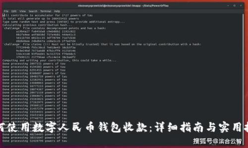 如何使用数字人民币钱包收款：详细指南与实用技巧