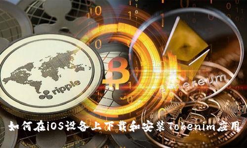 如何在iOS设备上下载和安装Tokenim应用