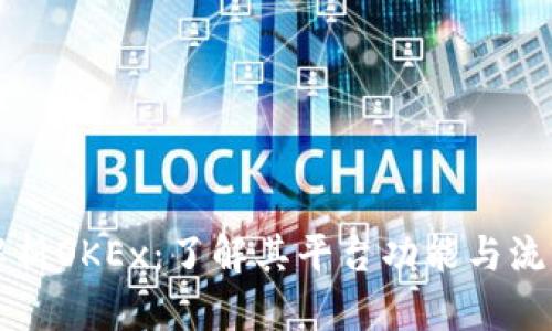 深入解析OKEx：了解其平台功能与流行币种