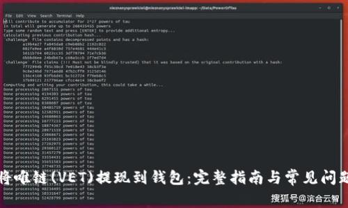如何将唯链(VET)提现到钱包：完整指南与常见问题解析