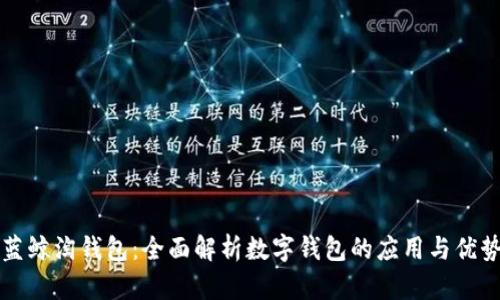 蓝鲸淘钱包：全面解析数字钱包的应用与优势