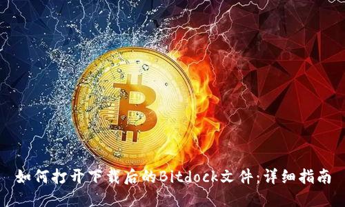 如何打开下载后的Bitdock文件：详细指南