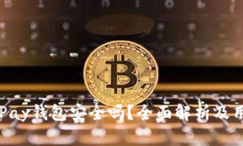 使用OKPay钱包安全吗？全面解析及用户指南