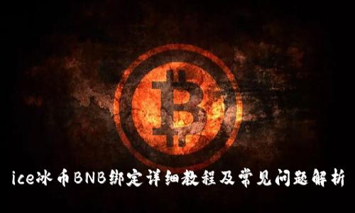 ice冰币BNB绑定详细教程及常见问题解析