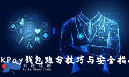 OKPay钱包跑分技巧与安全指南