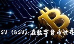 深入了解比特币SV (BSV)：在