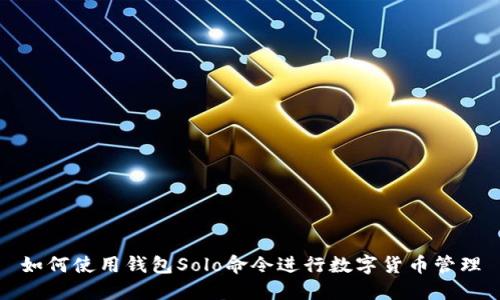 如何使用钱包Solo命令进行数字货币管理