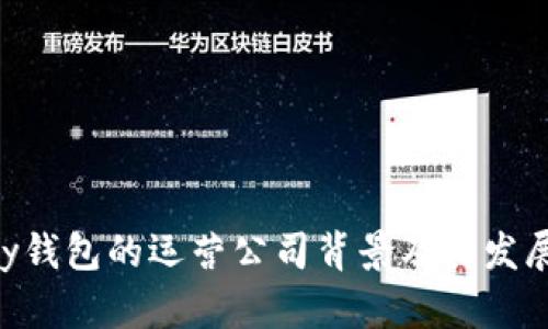 OkPay钱包的运营公司背景及其发展历程