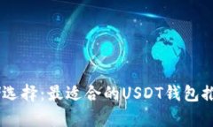 USDT存储选择：最适合的