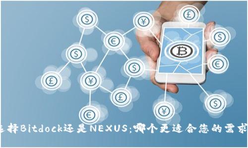 选择Bitdock还是NEXUS：哪个更适合您的需求？