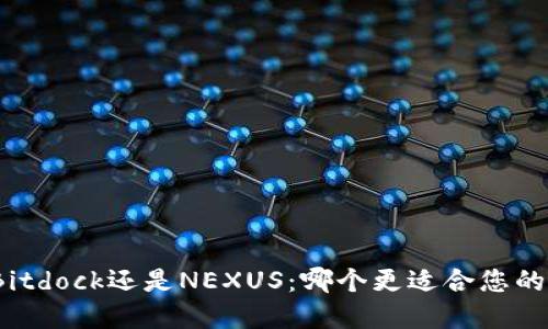 选择Bitdock还是NEXUS：哪个更适合您的需求？