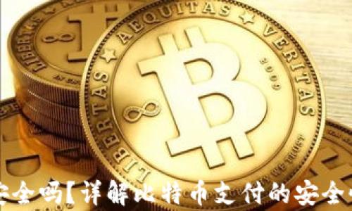 
BitPay安全吗？详解比特币支付的安全性与风险