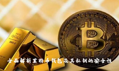 全面解析莱特币钱包及其私钥的安全性