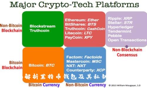 全面解析莱特币钱包及其私钥的安全性