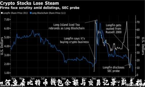 
如何查看比特币钱包余额与交易记录：新手指南