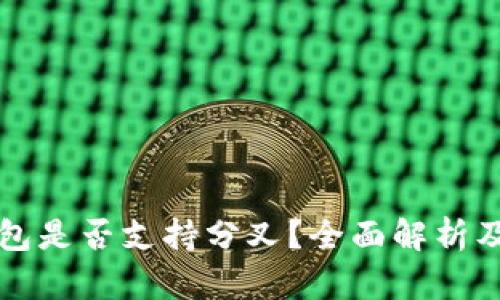 比特币钱包是否支持分叉？全面解析及实用指南