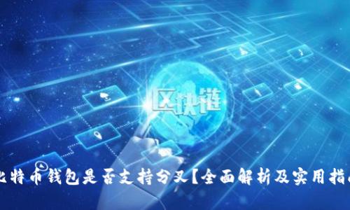 比特币钱包是否支持分叉？全面解析及实用指南