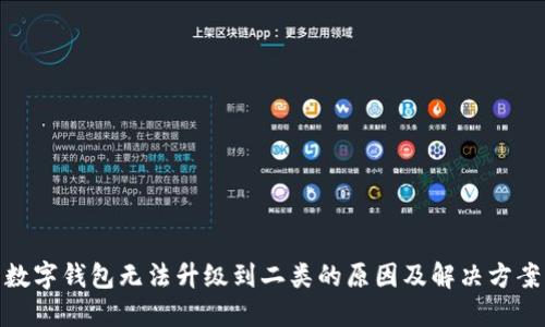 数字钱包无法升级到二类的原因及解决方案