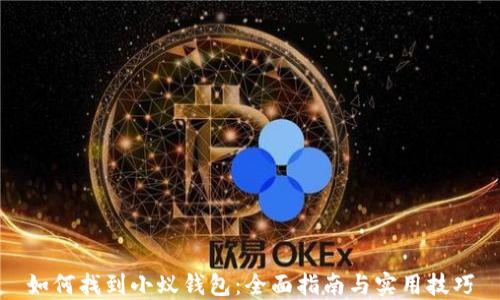 
如何找到小蚁钱包：全面指南与实用技巧