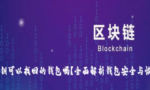 只有私钥可以找回的钱包吗？全面解析钱包安全与恢复方法