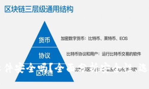 虚拟币钱包软件安全吗？全面分析安全性、选择与使用指南