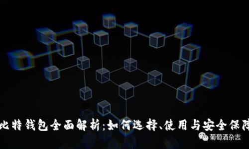 比特钱包全面解析：如何选择、使用与安全保障