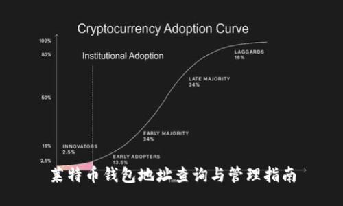 莱特币钱包地址查询与管理指南