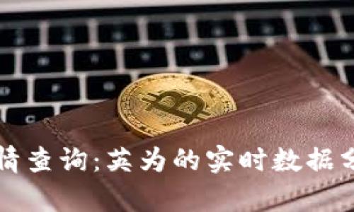 虚拟币实时行情查询：英为的实时数据分析与市场趋势