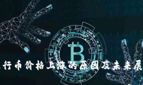 五行币价格上涨的原因及未来展望