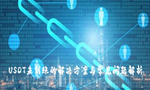USDT未到账的解决方案与常见问题解析