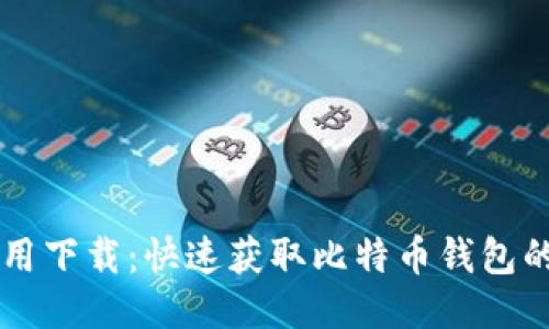 中本聪应用下载：快速获取比特币钱包的最佳指南