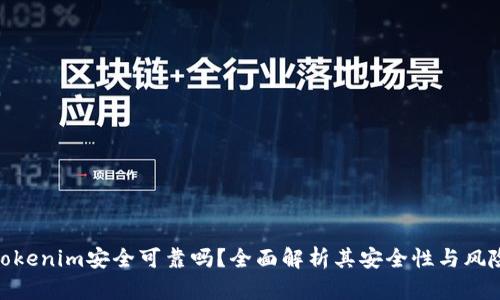 Tokenim安全可靠吗？全面解析其安全性与风险