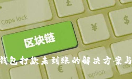 : OKPay钱包打款未到账的解决方案与注意事项