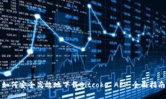 如何安全高效地下载Bitc