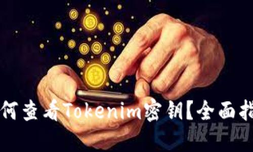 如何查看Tokenim密钥？全面指南