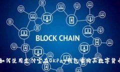如何使用支付宝在OKPay钱包