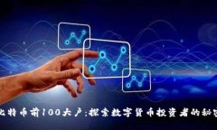 比特币前100大户：探索数