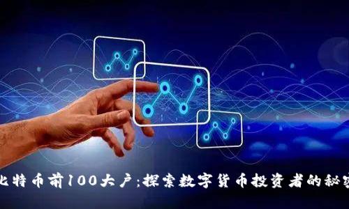 比特币前100大户：探索数字货币投资者的秘密