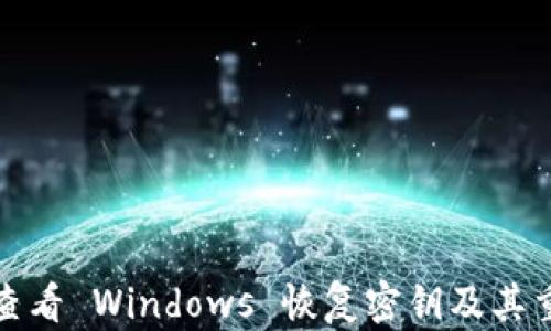 
如何查看 Windows 恢复密钥及其重要性